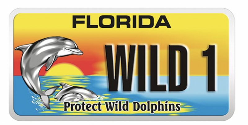 Protect Wild Dolphins specialty plate